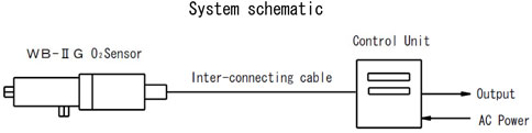 System Schematic for TB-IIG